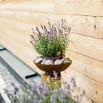 49 Nesselgraben - Aus Holz Апартаменты Копль