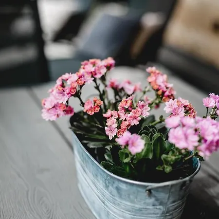 アパート 49 Nesselgraben - Aus Holz *