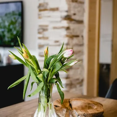 Apartmán 49 Nesselgraben - Aus Holz