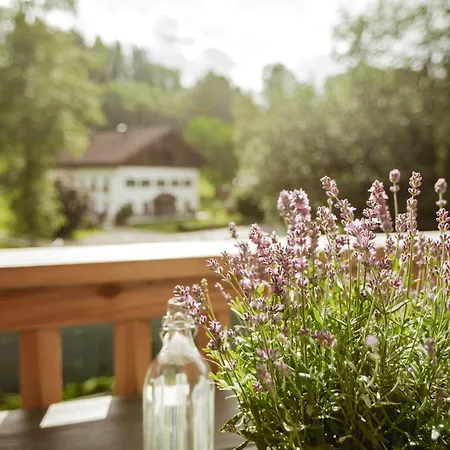 49 Nesselgraben - Aus Holz * Koppl