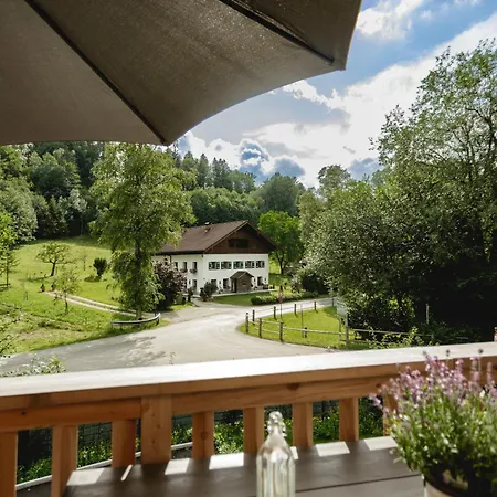 49 Nesselgraben - Aus Holz Apartmán *