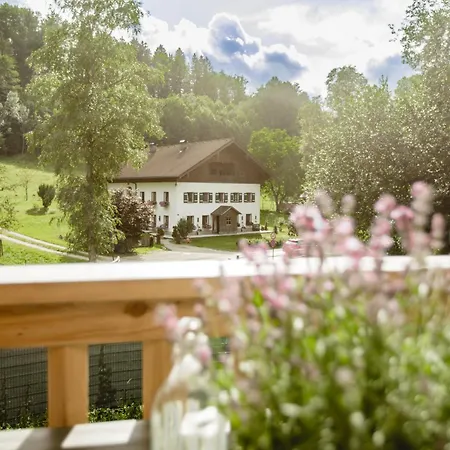 49 Nesselgraben - Aus Holz Apartment Koppl