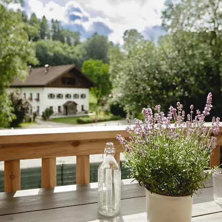 49 Nesselgraben - Aus Holz * Koppl