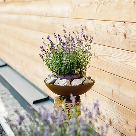 49 Nesselgraben - Aus Holz Apartmán Koppl