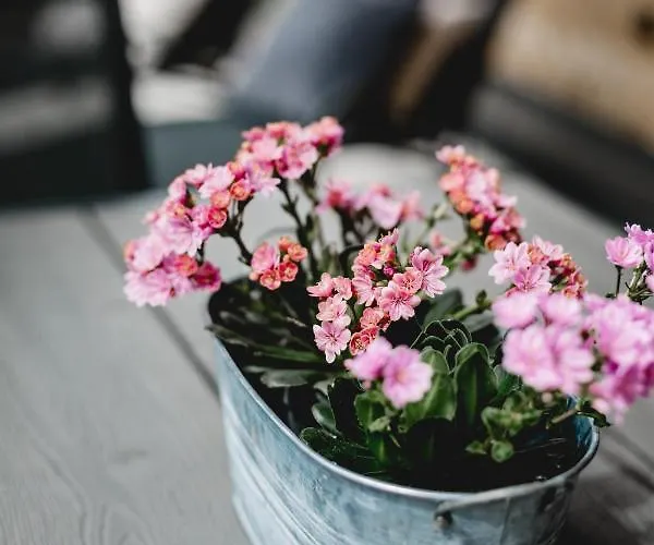 アパート 49 Nesselgraben - Aus Holz *