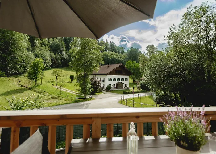 49 Nesselgraben - Aus Holz